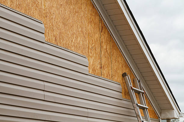 Professional Siding Repair technician working in Eagle Lake, FL